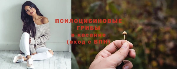 а пвп мука Весьегонск
