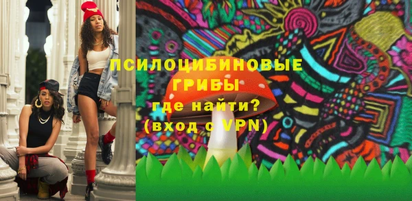 тгк Арсеньев