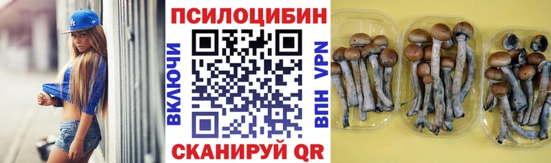 Галлюциногенные грибы мухоморы  Фатеж 